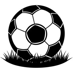 Obraz premium A close-up of a soccer ball on the grass field.