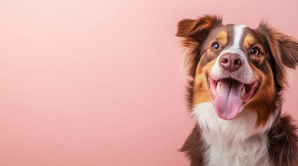An enthusiastic dog grins widely, showcasing its playful nature against a soft pink backdrop, embodying the joy and friendship pets bring into our lives.