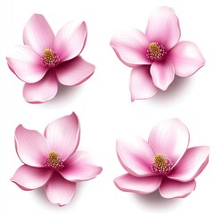 Elegant Pink Magnolia Flowers, Delicate Petals, Soft Hues, Springtime Blooms, Botanical Beauty, Natures Art