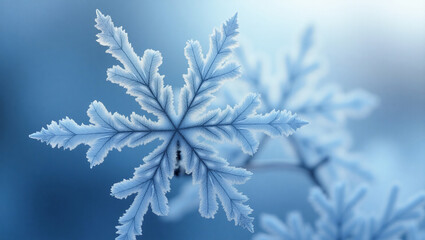 Frozen Crystalline Fractals in Icy Blue Macro Photo