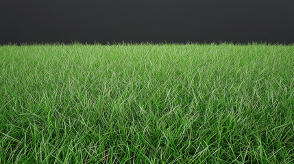 Obraz premium A lush field of vibrant green grass extends towards a dark background, creating a simple and natural scene ideal for use as a foreground or background element.
