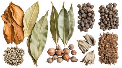 A diverse array of dried spices and herbs, including bay leaves, peppercorns, and other whole spices, displayed for visual appeal.