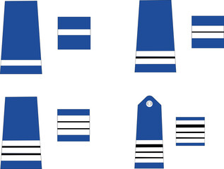 Obraz premium Ensemble des galons de l'armée française, de la police municipale, chef de service et directeur : principal, 1ère et 2ème classe, directeur 