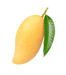 yellow mango with leaf