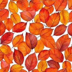 Fototapeta premium Autumn Leaves Seamless Pattern Red, Orange, Yellow Foliage on White