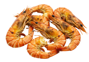 Grilled Prawns Close-up isolated on white background
