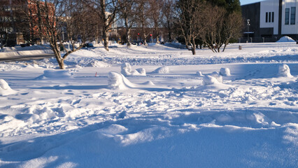 雪だるまの残骸