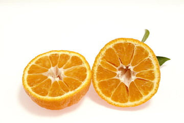 デコポン　蒲郡デコポン 愛知県産