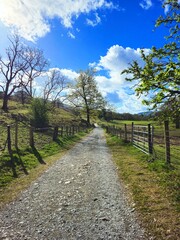 A tranquil rural walking path stretches into the distance with bright sunlight glowing through a partly cloudy sky. Ideal for themes of peace, solitude, and outdoor exploration.