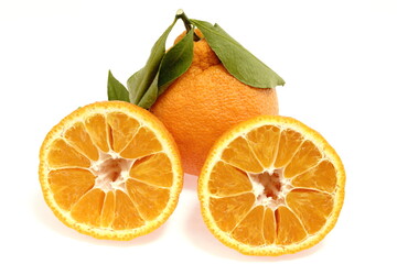 デコポン　蒲郡デコポン 愛知県産