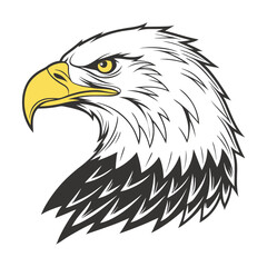 Detailed Line Art Illustration of an Eagle's Head