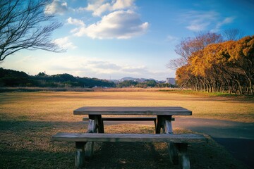 Obraz premium Empty wooden picnic table in autumn park