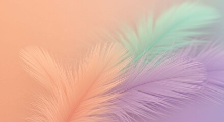Obraz premium Pastel Peach Lavender Mint Feathers Soft Delicate Dreamy Background Texture