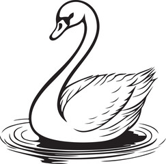 swan on the water