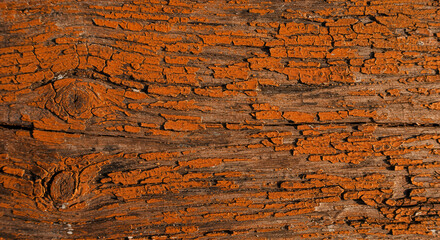 Cracked Orange Paint on Aged Wooden Surface, Rustic Weathered Wood Texture Close-Up
