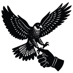 Fototapeta premium Black and White Falconry Illustration: Falcon Perched on Gloved Hand, Bird of Prey Art, Vintage Style Graphic Design, Wildlife Imagery