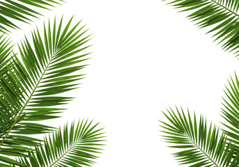 Obraz premium Symmetrical arrangement of palm leaves in all four corners on white background, tropical nature border perfect for print or web design.