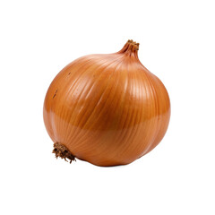 A single, whole, fresh onion with a smooth, golden-brown skin and a small root end.