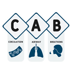 CAB - Circulation, Airway, Breathing acronym. medical concept background. vector illustration concept with keywords and icons. lettering illustration with icons for web banner, flyer, landing page	