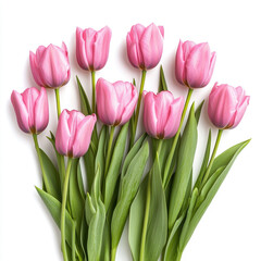 Obraz premium Fresh pink tulips elegantly arranged with vibrant green leaves on white background