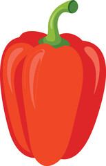 Capsicum vector art