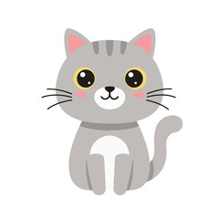 Cute Minimalist Grey Tabby Cat Sitting