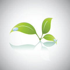 green leaf icon, leaves falling on water, icon leaf