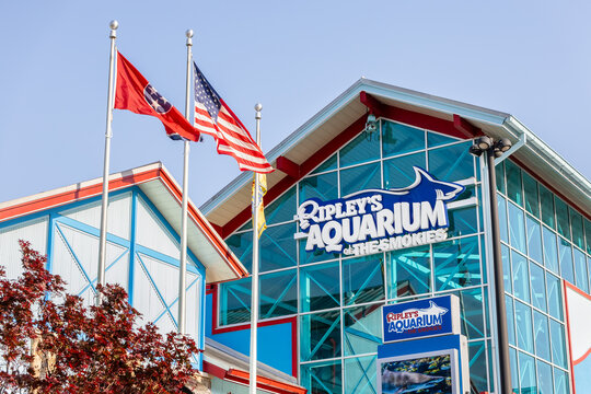 Gatlinburg, TN, USA - April 14, 2025: Ripley's Aquarium of The Smokies is located in downtown Gatlinburg and features interactive experiences, animal viewing, and fun events for the family.