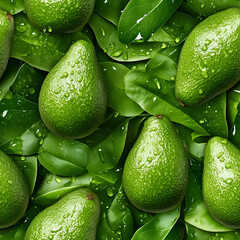 Seamless Whole Fresh Avocados on Lush Green Leaves with Water Droplets – Organic Superfood Concept