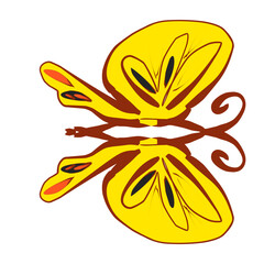 vector illustration of a butterfly