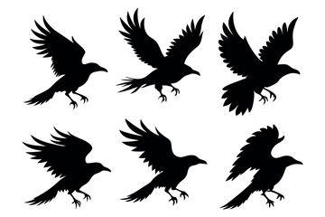 "Flying Raven Silhouettes Vector Pack  Black Crow Clipart Bundle"