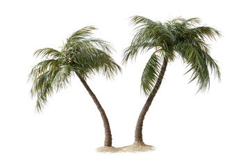 Coconut trees leaning isolated on white background PNG