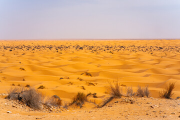 Endless sand on Sahara desert in Tunisia