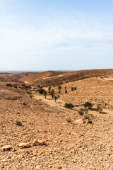 Desert landscape in the Atlas Mountains