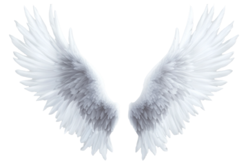 Pair of white, feathered wings spread symmetrically on transparent background