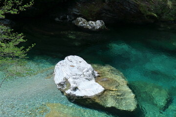 えめらるどの池　春の美景　（高知県　土佐町　瀬戸川渓谷）