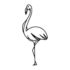 standing flamingo vector illustration