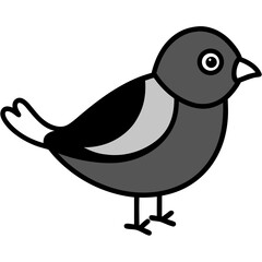 bird on a white background