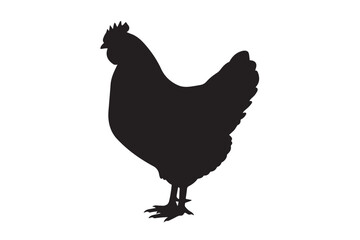 Fototapeta premium vector silhouette of chicken or hen isolated on white background
