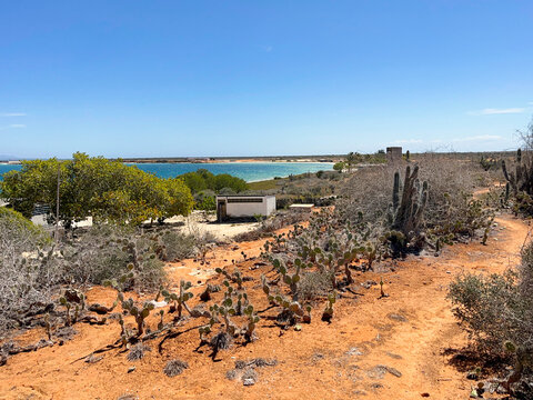 Tropical, exotic views and lots of cacti on the Venezuelan island of Cubagua
