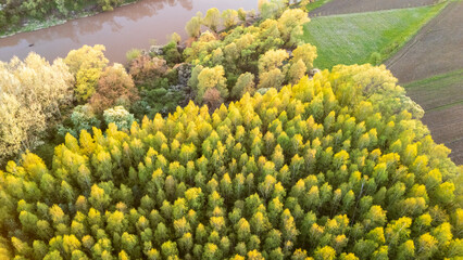 Aerial view of vibrant autumn foliage along a river, showcasing a mix of green and yellow trees, contrasting with fields in a serene landscape setting.