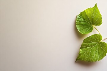Two vibrant green leaves on a pale background
