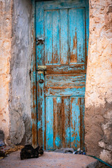 Homeless poor cat in Tunesian village