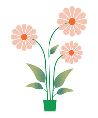 Flat Vector Flower Pot with Blooming Daisies Illustration