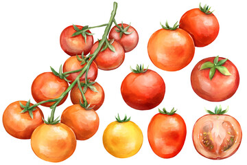 トマトのセットイラスト