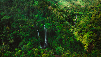 Majestic aerial shot of a cascading waterfall in a lush rainforest, with mist rising from the water and dense greenery surrounding the scene , Bali, Indonesia	
