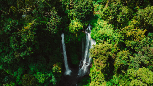 Majestic aerial shot of a cascading waterfall in a lush rainforest, with mist rising from the water and dense greenery surrounding the scene , Bali, Indonesia	

