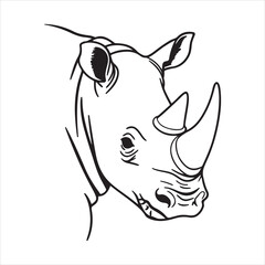 White Rhinoceros – Majestic Giant of the African Plains