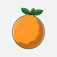 Orange Tropical Summer Fruit Vector Illustration	