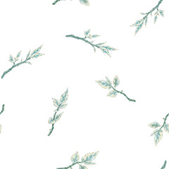 Seamless pattern of pedilanthus branches. Hand-drawn watercolor illustration of house plants on white background. Abstract pattern for printing on fabric, clothes, wallpapers, wrap paper package, etc.